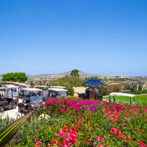 2026 Diamante Club Championship Photo Gallery